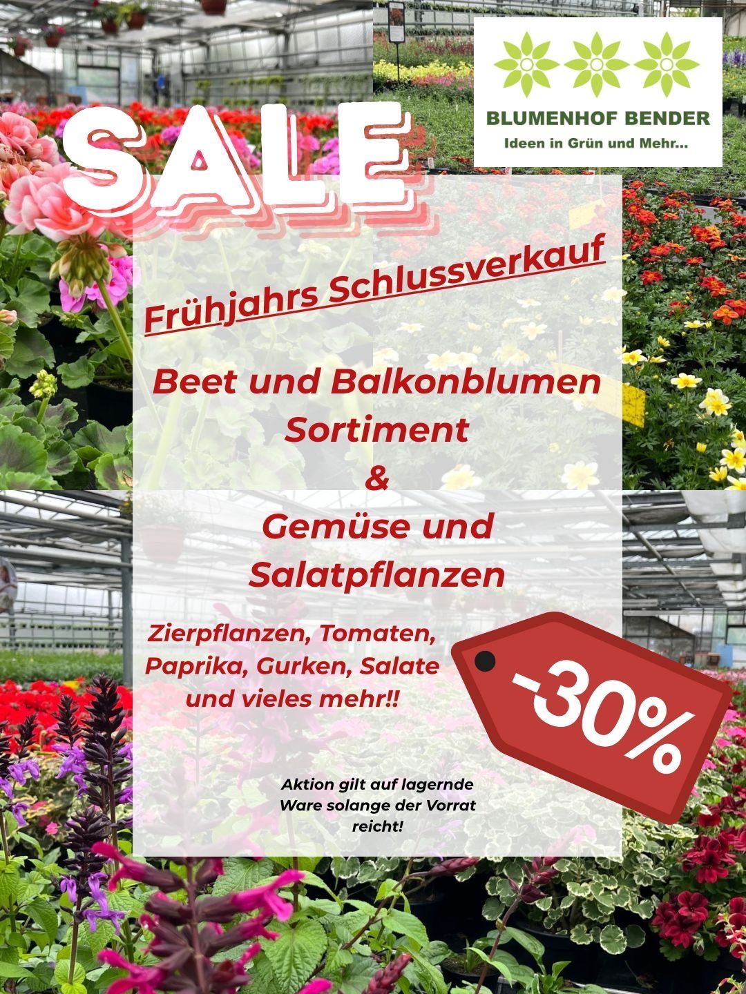Werbeplakat für Gartenverkauf im frühen Frühling. Beinhaltet einen 30% Rabatt auf Beet- und Balkonblumen, Gemüse und Salatpflanzen. Gilt solange der Vorrat reicht.