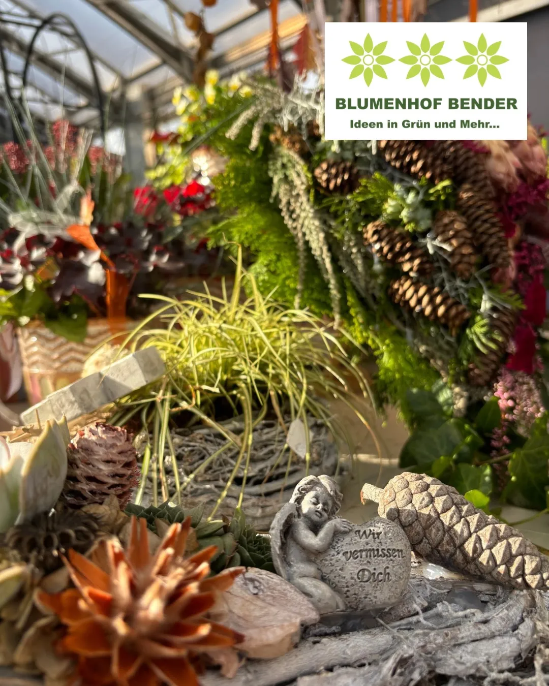 Ein Nahaufnahme von verschiedenen Pflanzen und Blumen in einem Gewächshaus, einschließlich Sukkulenten, Farne und Tannenzapfen.