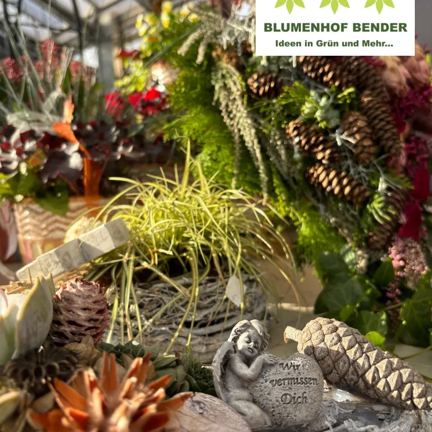 Ein Nahaufnahme von verschiedenen Pflanzen und Blumen in einem Gewächshaus, einschließlich Sukkulenten, Farne und Tannenzapfen.