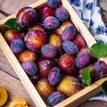 plums-1898196_1280