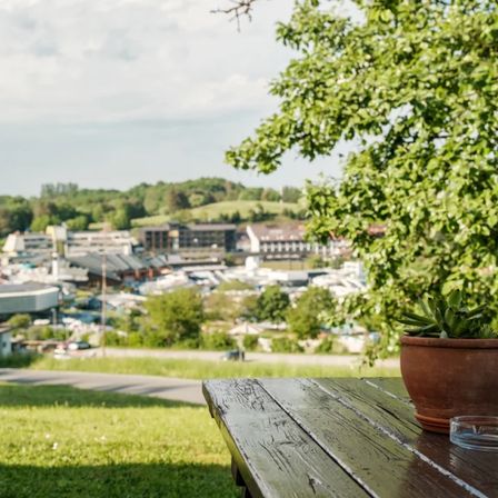 Ein malerischer Blick auf ein Grasfeld mit einem Holztisch und einem Topf mit Pflanze. Im Hintergrund befindet sich eine Stadt mit Gebäuden und Bäumen.