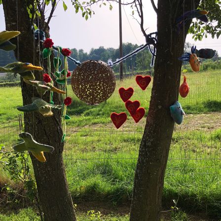 Bild enthält, Tree, Grass, Tree Trunk, Nature, Outdoors, Park, Symbol, Bird, Vegetation, Dinosaur