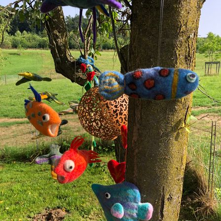 Bild enthält, Plant, Tree, Vegetation, Animal, Bird, Fish, Sea Life, Chicken, Grass, Outdoors