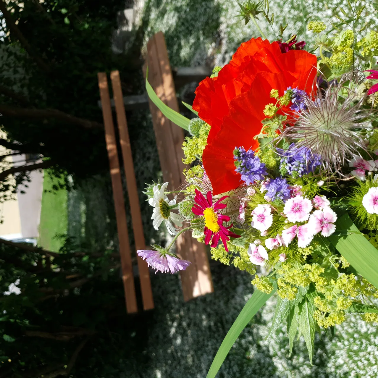 Ein Strauß bunter Blumen, darunter rote Mohnblumen, weiße Gänseblümchen und rosa Nelken, ruht auf einer Holzbank.
