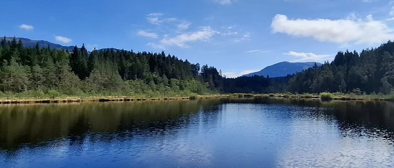 Ein ruhiger See mit einem hölzernen Steg erstreckt sich ins Wasser unter einem klaren blauen Himmel mit verstreuten Wolken. Dicht bewaldete grüne Bäume säumen das Seeufer, und in der Ferne runden Berge die friedliche Szenerie ab.