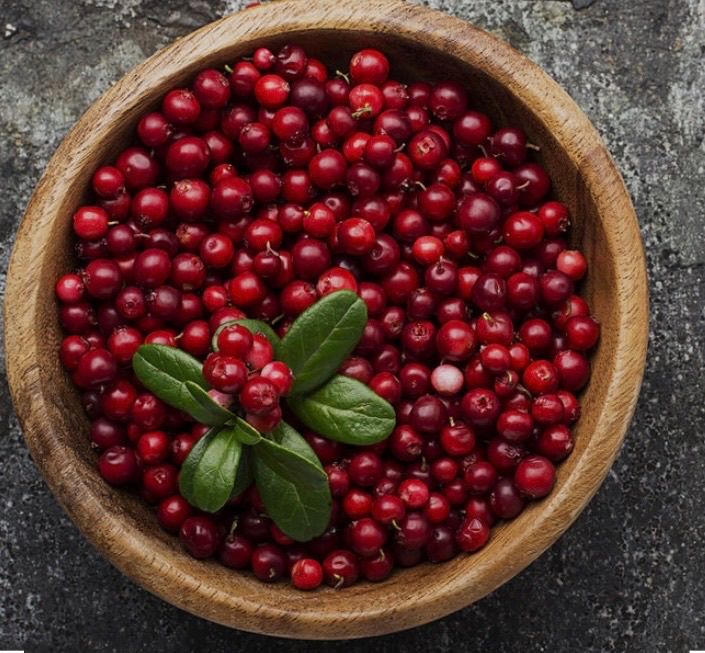 Ein hölzerne Schüssel voller leuchtend roter Preiselbeeren und einem Zweig grüner Blätter auf einer Steinoberfläche.