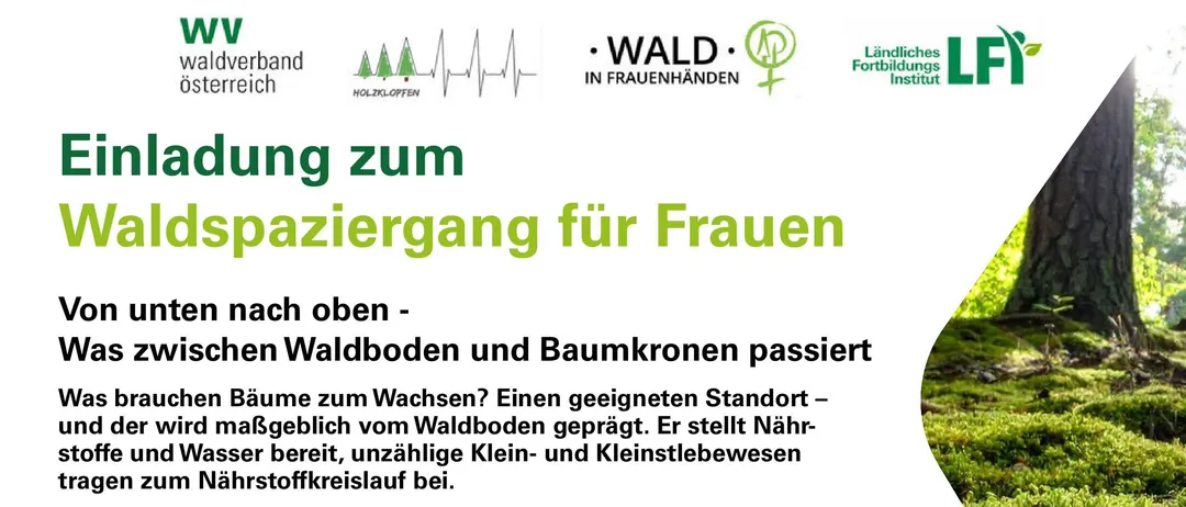 Ein Flyer mit Informationen über Waldspaziergänge im Herbst 2026, mit Terminen, Orten und Details zur Veranstaltung. Der Flyer enthält einen QR-Code und erwähnt, dass die Teilnahme kostenlos ist.
