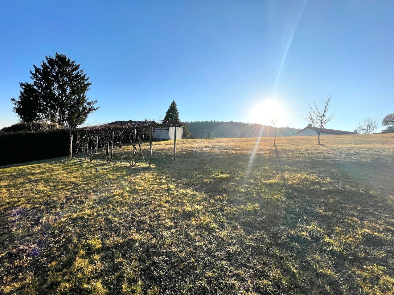 Eine friedliche Landschaft mit untergehender Sonne, kahlen Bäumen und einer Weinstruktur in einem weitläufigen Grasfeld unter einem klaren blauen Himmel.