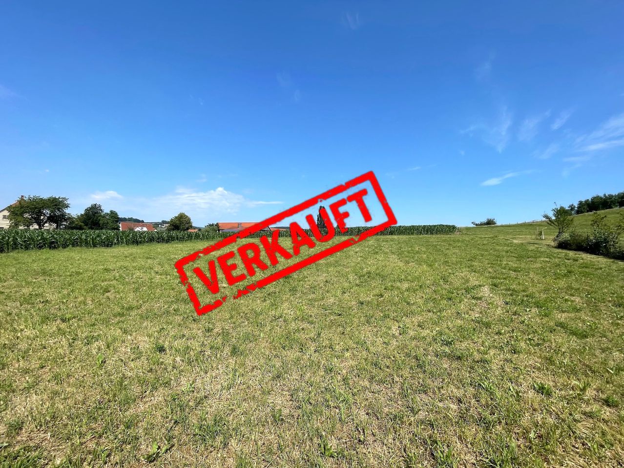 Ein offenes Feld mit grünem Gras und einem roten Rechteck in der Mitte, auf dem 'VERKAUFT' steht. Der Himmel ist blau mit einigen Wolken. In der Ferne gibt es Gebäude und Bäume.