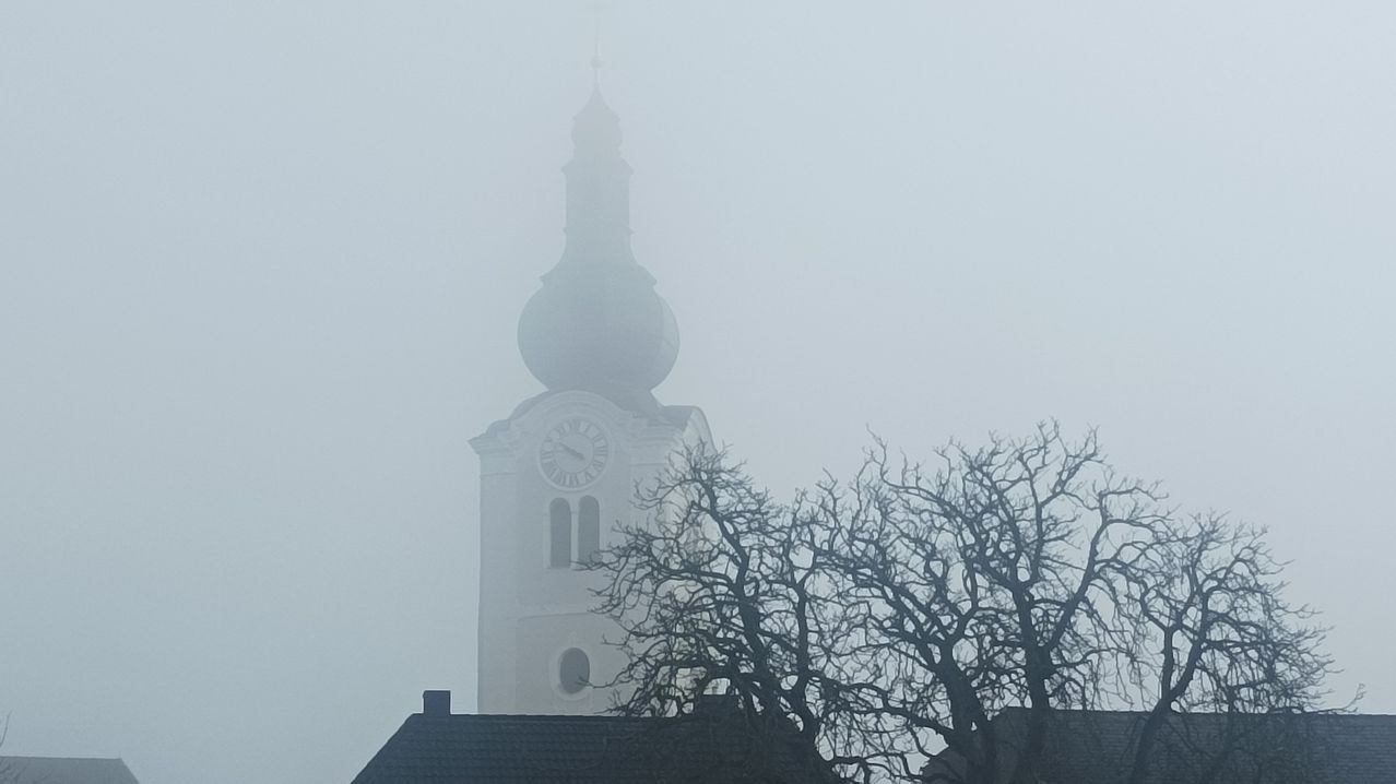 A tall clock tower is partially obscured by fog, with a clock face visible and a tree with no leaves in the foreground.