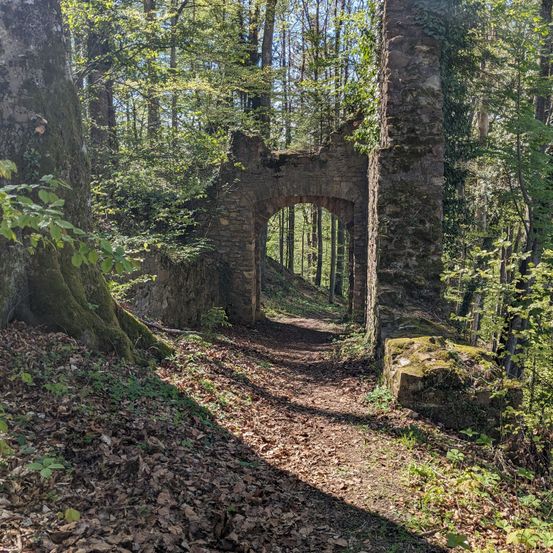 Bild enthält, Path, Nature, Outdoors, Trail, Vegetation, Land, Tree, Woodland, Ruins, Grove