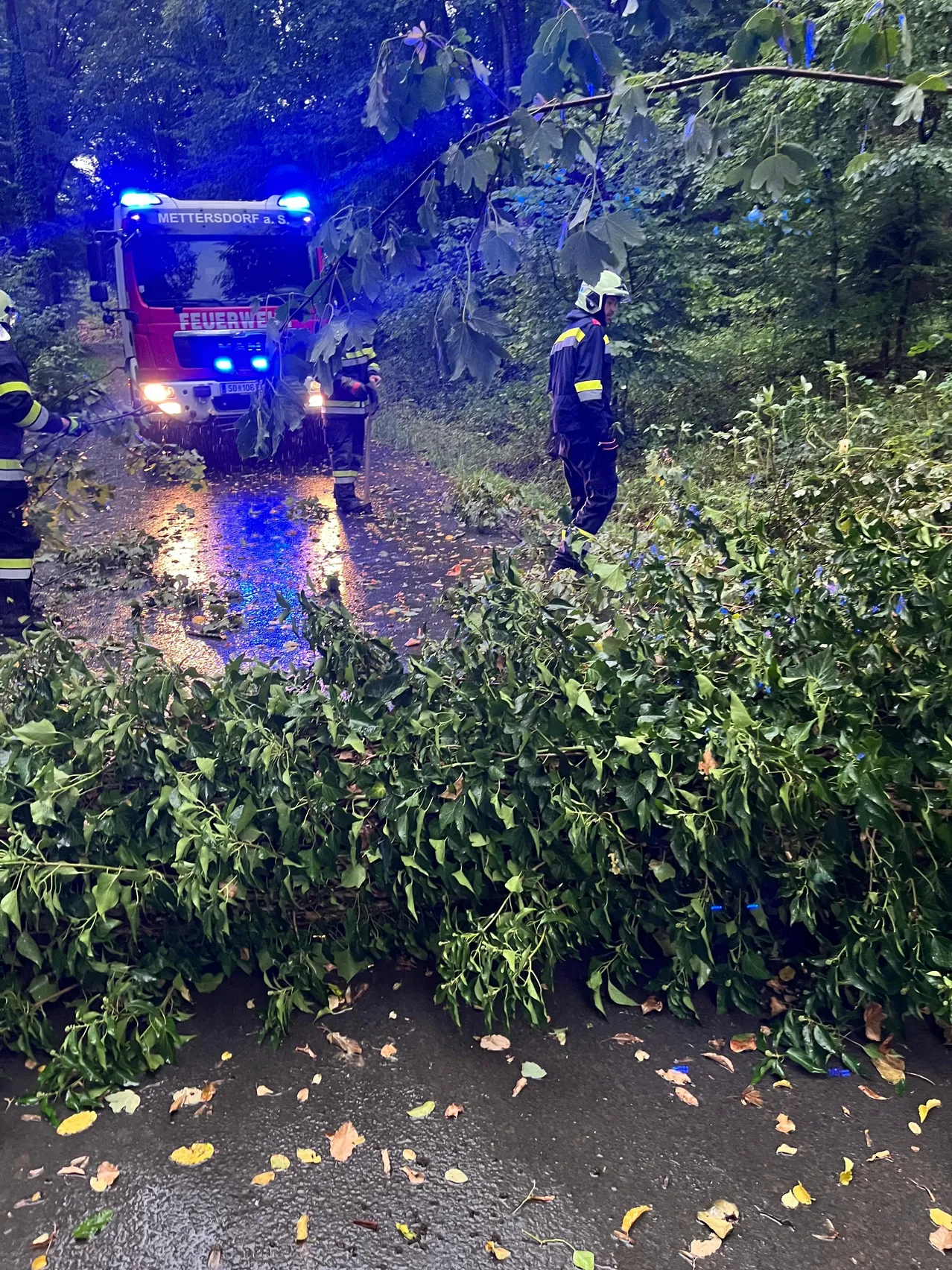 Feuerwehrleute in voller Montur räumen einen umgestürzten Baum von der Straße, mit einem Feuerwehrwagen im Hintergrund.