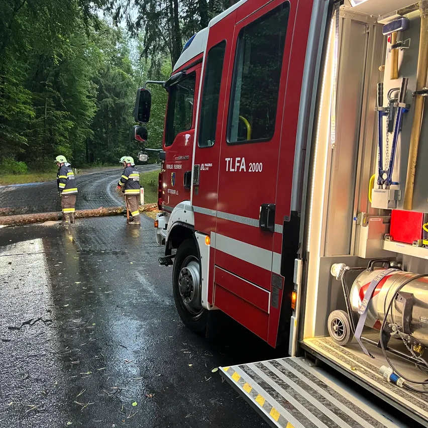Zwei Feuerwehrleute in gelben Uniformen stehen neben einem umgestürzten Baum auf einer nassen Straße, ein roter Feuerwehrwagen mit der Aufschrift 'TL FA 2000' ist in der Nähe geparkt.