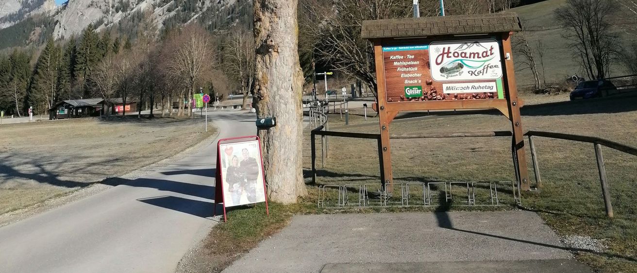 Bild enthält, Plant, Tree, Tree Trunk, Road, Nature, Outdoors, Scenery, Fir, Person, Mountain Range