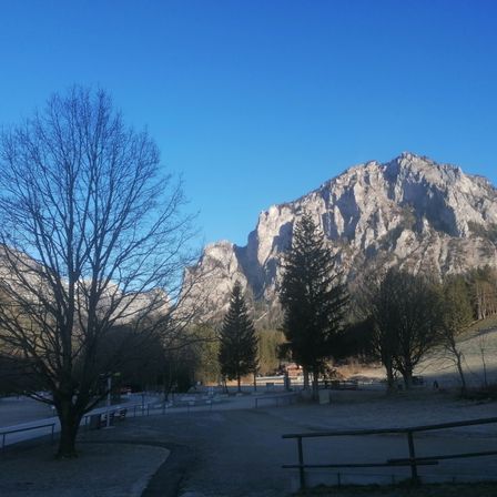 Bild enthält, Tree, Fir, Mountain, Mountain Range, Nature, Outdoors, Scenery, Road, Peak, Person