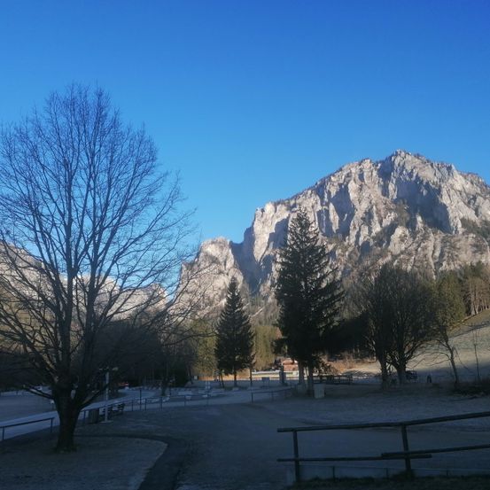 Bild enthält, Tree, Fir, Mountain, Mountain Range, Nature, Outdoors, Scenery, Road, Peak, Person