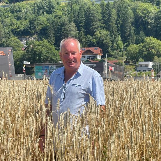 Ein Mann steht in einem Weizenfeld mit einem Wald und Häusern im Hintergrund.