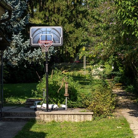 Ein Basketballkorb steht in einem Hinterhof mit grünem Rasen und laubreichen Bäumen, ein klarer blauer Himmel darüber.