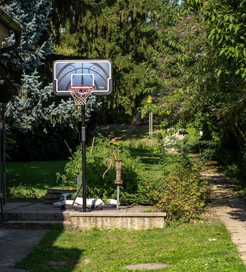 Ein Basketballkorb steht in einem Hinterhof mit grünem Rasen und laubreichen Bäumen, ein klarer blauer Himmel darüber.