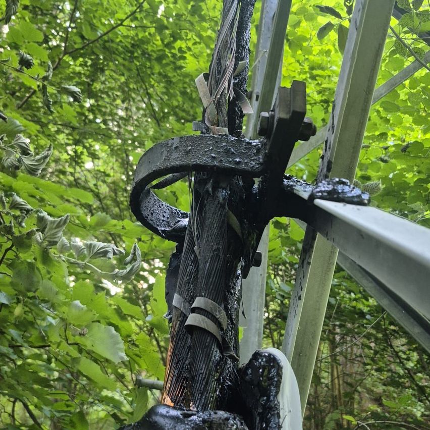 Ein Nahaufnahme einer beschädigten Struktur mit einem verkohlten schwarzen Pfahl und Metallkomponenten. Sie ist von üppigem grünem Laub und Bäumen umgeben.