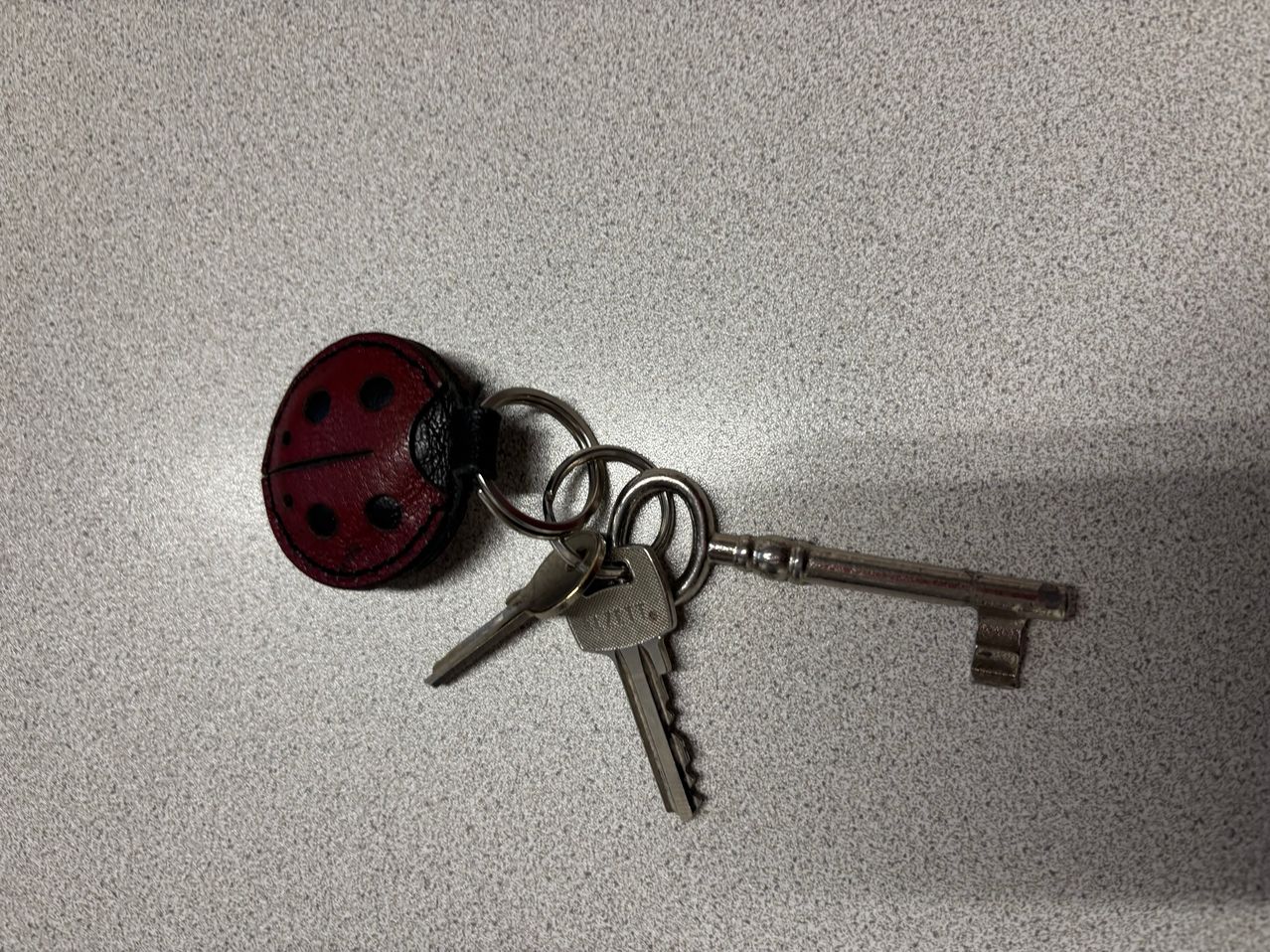 Ein Schlüsselbund auf einer grauen Oberfläche enthält einen roten und schwarzen Marienkäferanhänger und einen silbernen Schlüssel.