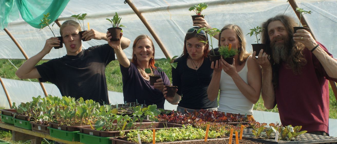 Vier Frauen und ein Mann halten Topfpflanzen unter einem grünen Baldachin. Die Frauen lächeln und der Mann macht eine lustige Grimasse. Sie stehen in einem Gewächshaus mit einem Tisch voller verschiedener Topfpflanzen.