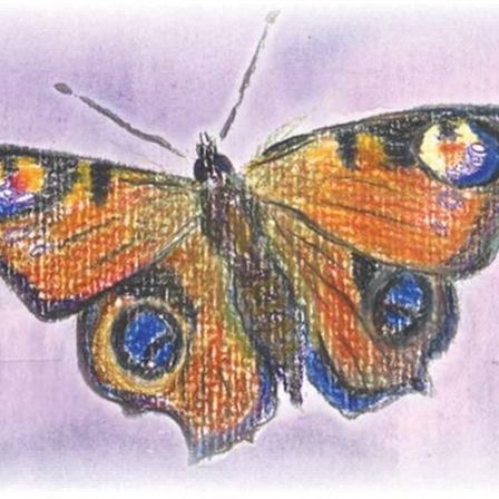 Bild enthält, Pattern, Art, Animal, Canine, Dog, Mammal, Pet, Butterfly, Insect, Invertebrate