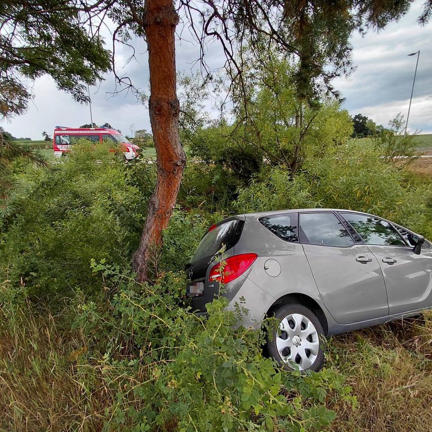 Ein graues Auto ist in einem Busch neben einem roten Rettungsfahrzeug am Straßenrand geparkt. Bäume und Gras umgeben das Gebiet, und eine Straßenlampe ist in der Ferne sichtbar.