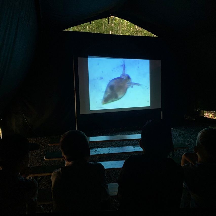 Vier Personen sitzen in einem Zelt und schauen sich einen Bildschirm an, auf dem ein Hai zu sehen ist. Das Zelt ist dunkel, und der Bildschirm ist die einzige Lichtquelle.