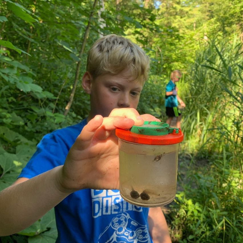 Ein junger Junge untersucht ein Glas mit Kaulquappen in einem üppigen Wald, während ein anderes Kind im Hintergrund geht.