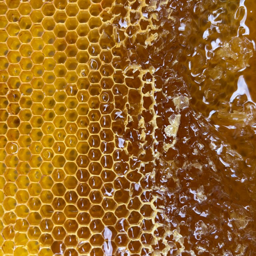 Eine Nahaufnahme eines Bienenwaben-Zells zeigt goldenen Honig, der aus den sechseckigen Zellen sickert und im Licht glänzt.