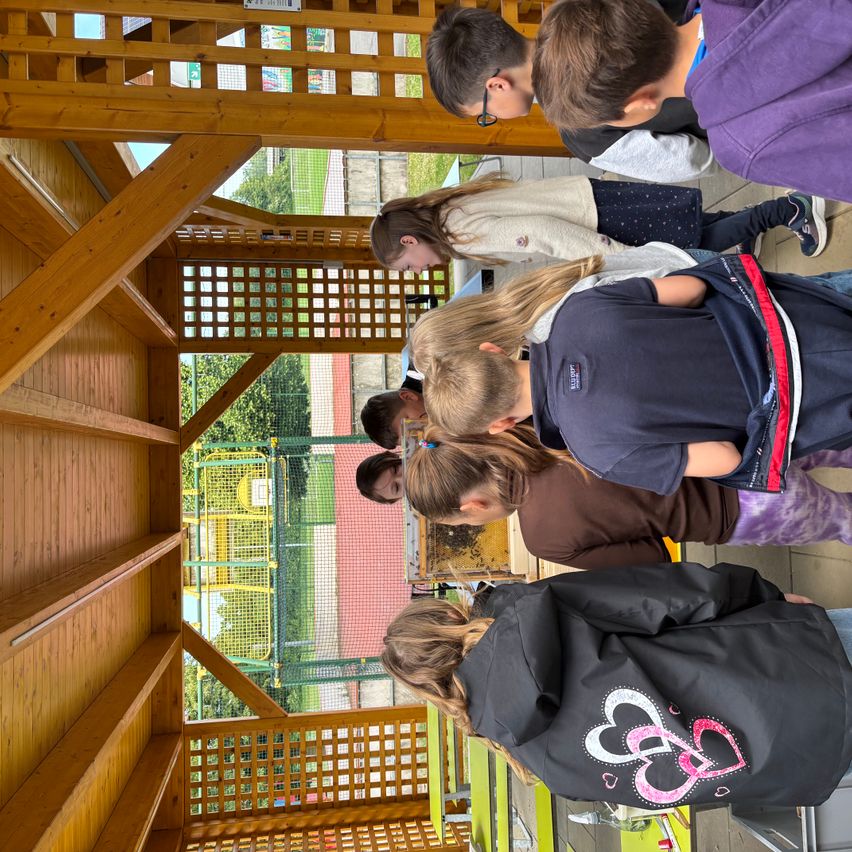 Eine Gruppe von Kindern, die stehen und nach unten schauen, befindet sich in einem hölzernen Spielhaus mit einem Gitterfenster. Sie erkunden möglicherweise das Gebiet.