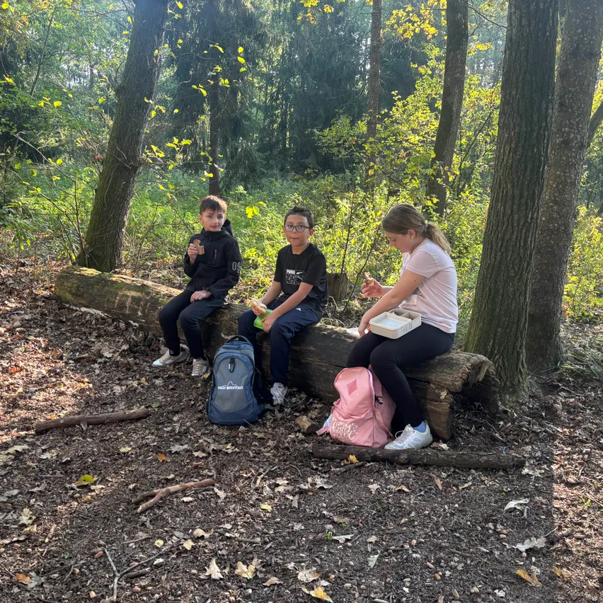 Drei Kinder sitzen auf einem Baumstamm im Wald. Zwei Jungen tragen schwarze Jacken und ein Mädchen trägt ein weißes Shirt. Sie essen Essen aus ihren Lunchboxen.