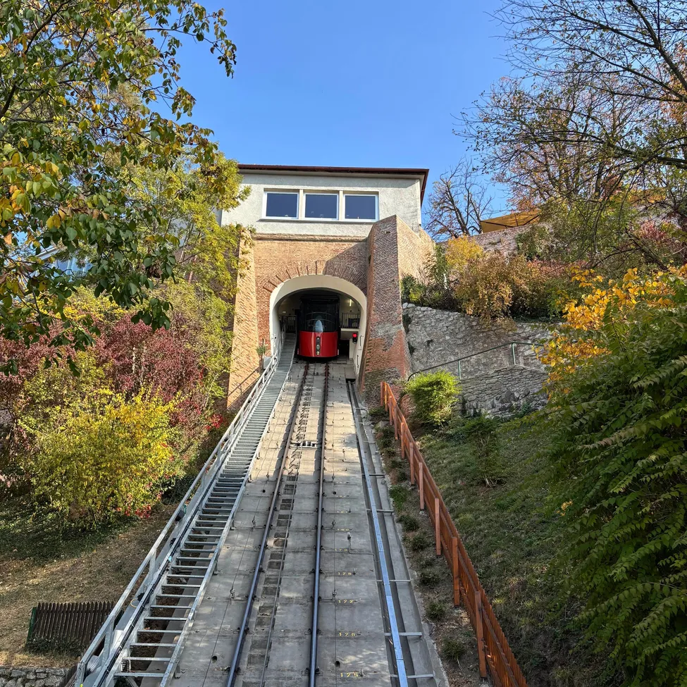 Eine rote Standseilbahn fährt durch einen Tunnel bergauf, umgeben von Bäumen und Pflanzen bei blauem Himmel.