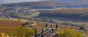 Luftaufnahme eines Weinbergs mit einer hölzernen Aussichtsplattform, mehrere Personen stehen und schauen auf die Landschaft unten.