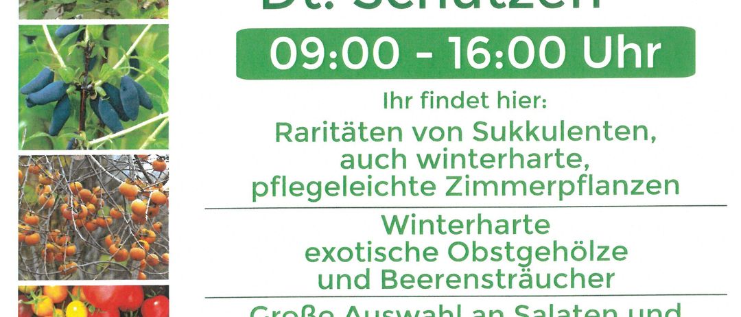 Pflanzenmarkt in 7474 St. Kathrein/Dt. Schützen. Geöffnet von 9:00 bis 16:00 Uhr. Bietet Raritäten von Sukkulenten, auch winterharte, pflegeleichte Zimmerpflanzen, winterharte exotische Obstgehölze und Beerensträucher, große Auswahl an Salaten und Gemüsepflanzen und Raritäten für den Hausgarten.