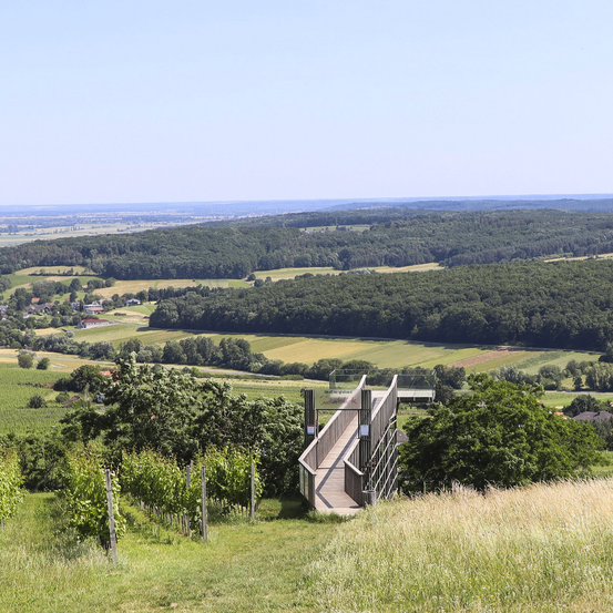 Ein Panoramablick auf eine ländliche Landschaft mit einem Weg, der zu einer hölzernen Aussichtsplattform führt. Die Landschaft zeigt sanfte Hügel, üppiges Grün und verstreute Häuser.