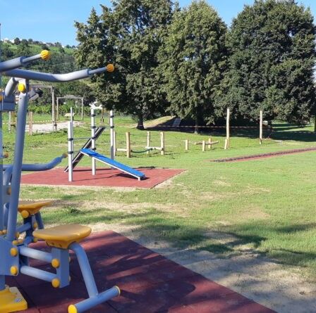 Ein Outdoor-Fitnessbereich mit verschiedenen Trainingsgeräten, einer Rutsche und einem grünen Feld, umgeben von Bäumen unter einem klaren Himmel.