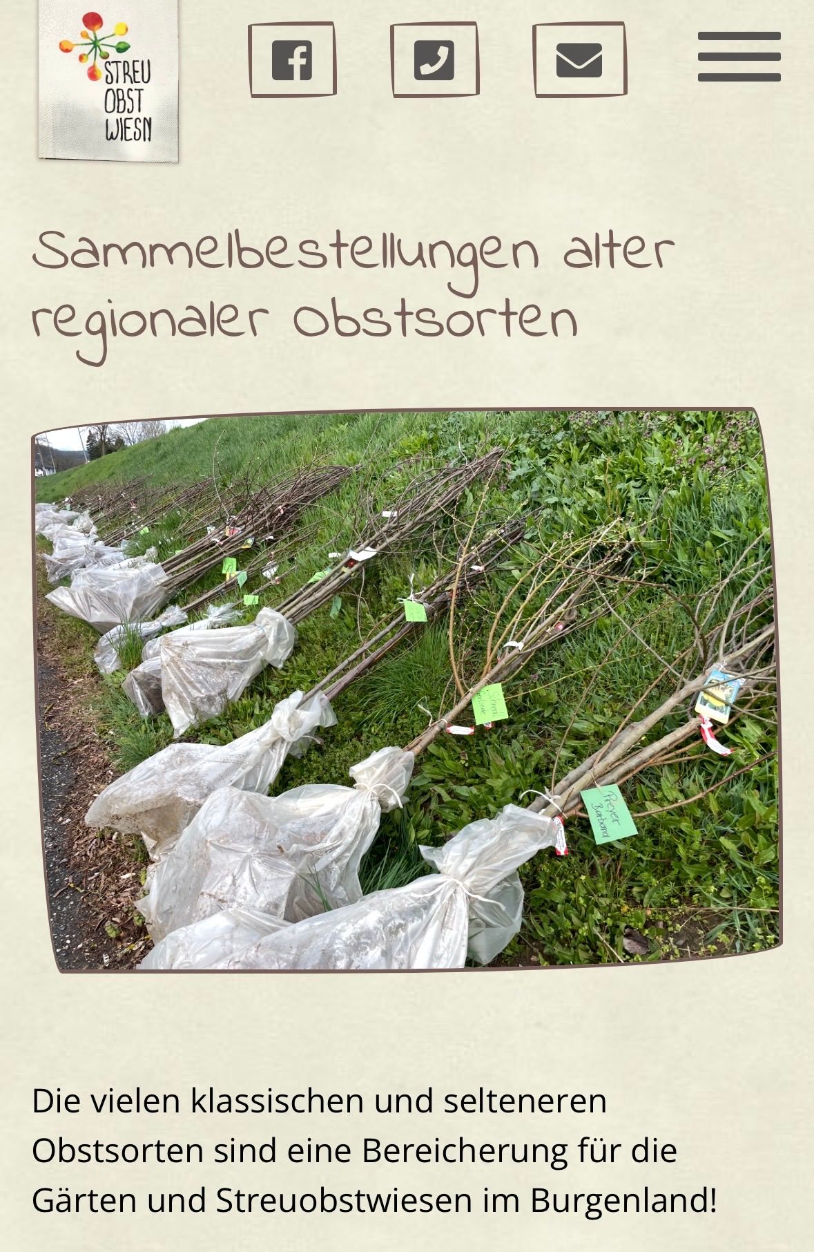 Reihen von Bäumen in Plastiktüten sind auf dem Gras platziert, mit Etiketten und Anhängern versehen. Der Hintergrund zeigt einen grünen Grasbereich mit einigen kleinen Pflanzen.