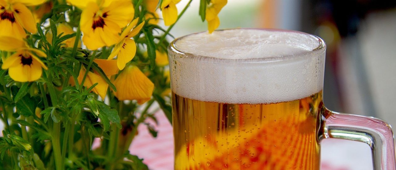 Bild enthält, Glass, Alcohol, Beer, Beverage, Cup, Beer Glass, Liquor, Flower, Plant, Lager