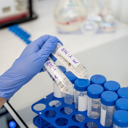 Eine behandschuhte Hand hält zwei Teströhrchen in einer Laborumgebung. Auf einem Röhrchen steht 'K16-2-W'. Die Röhrchen sind in einem blauen Rack organisiert.