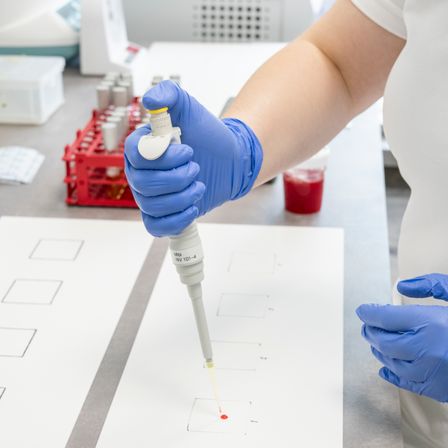 Eine Person im Labor verwendet eine Pipette, um eine rote Substanz in ein Raster auf einem weißen Blatt zu tropfen.