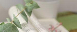 Bild enthält, Book, Publication, Page, Text, Leaf, Plant, Herbal, Flower, Rose