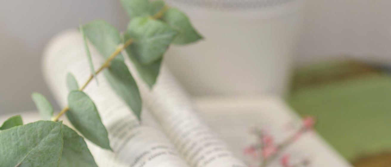 Bild enthält, Book, Publication, Page, Text, Leaf, Plant, Herbal, Flower, Rose