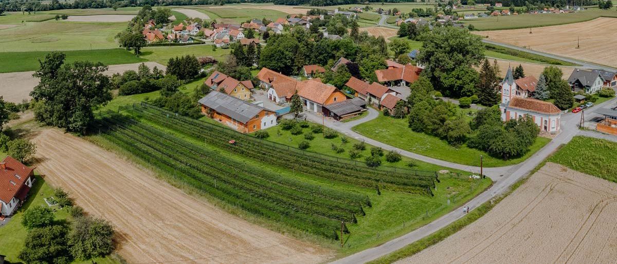 Luftaufnahme eines kleinen Dorfes, umgeben von grünen Feldern und Bäumen. Das Dorf hat mehrere Häuser mit roten Dächern. Berge sind in der Ferne sichtbar.
