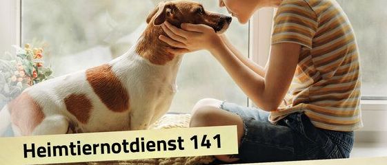 Bild enthält, Advertisement, Poster, Person, Animal, Canine, Dog, Mammal, Pet, Hound