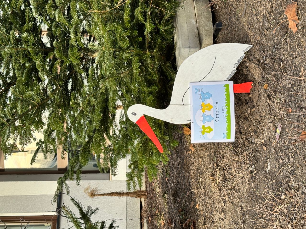 Eine storchförmige Holzdekoration mit rotem Schnabel und einer Karte namens Kimberly ist vor einem großen grünen Busch in der Erde neben einem weißen Gebäude platziert.