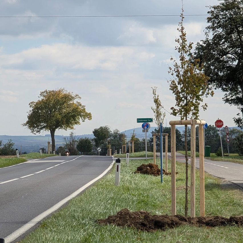 Eine leere Straße mit Bäumen und Stoppschildern in der Ferne. Die Straße hat eine weiße Linie auf der linken und eine gelbe Linie auf der rechten Seite. Es gibt einen Rasenbereich mit Bäumen und Pflanzen auf der rechten Seite der Straße.