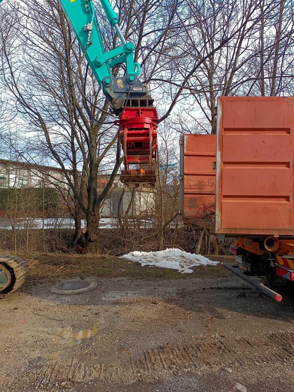 Ein Kran hebt eine rote Maschine von einem Baum in einem verschneiten Gebiet. Ein Lastwagen mit offenem braunem Container ist in der Nähe geparkt. Eine Person steht in der Nähe des Baumes.