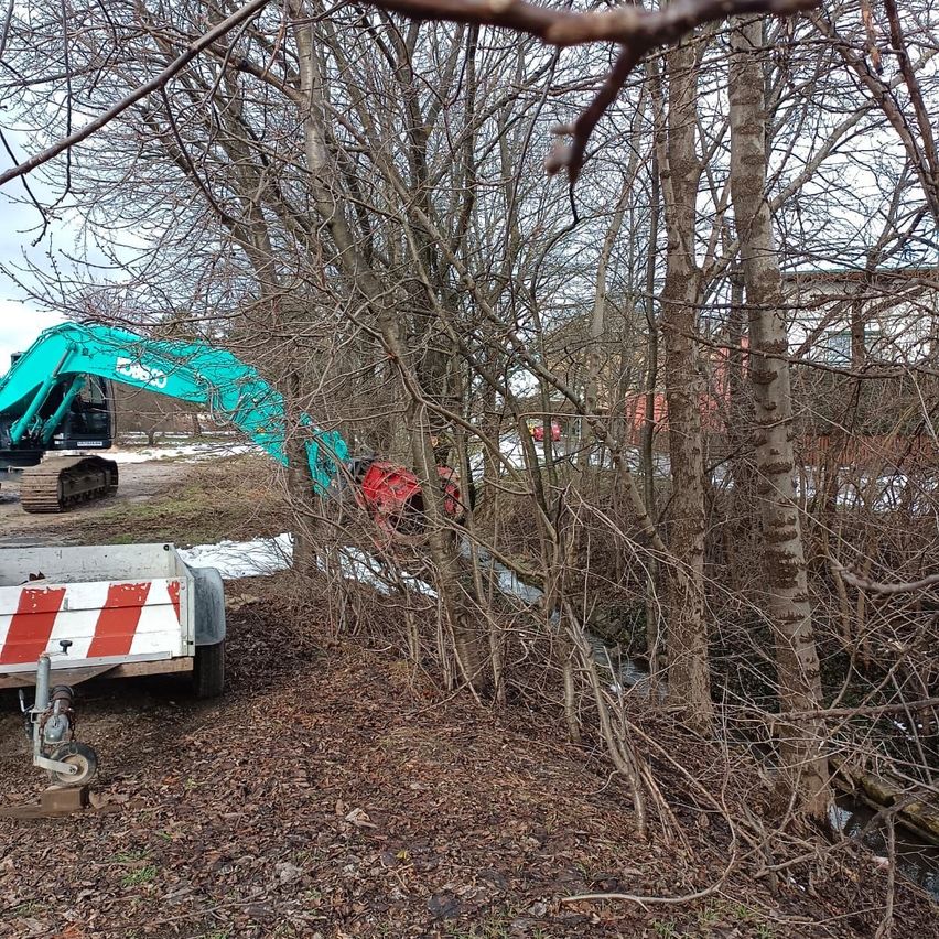 Ein grüner Bagger steht in einem Wald, mit einer rotspitzigen Anbaumaschine am Ende. Der Wald ist mit kahlen Bäumen gefüllt und ein kleiner Bach fließt durch ihn.